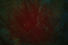 AerialEye.ca_cd.03.13.21_051-output