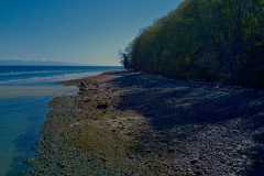 Blueback Beach 02