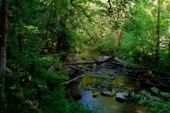 Bowen Park 01