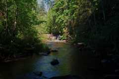 Bowen Park 02