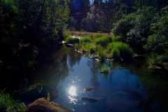 Bowen Park 03