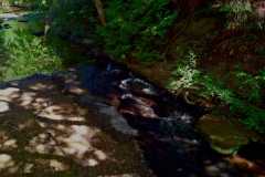 Bowen Park 08