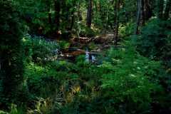 Colliery Dam Park 04