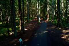 Colliery Dam Park 01