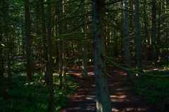 Colliery Dam Park 06