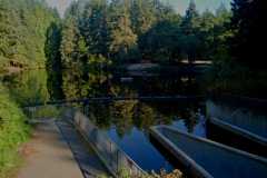 Colliery Dam Park 10