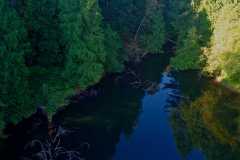 Colliery Dam Park 09
