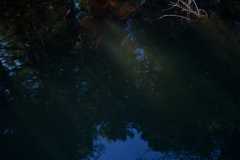 Colliery Dam Park 08