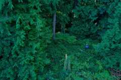 Colliery Dam Park 07