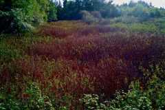 Divers Lake 05