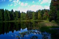 Lost Lake 01