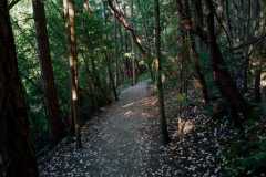 Lost Lake 05