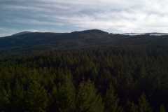 Mt Benson 04