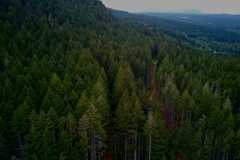 Mt Benson 05