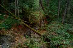 Witchcraft Lake 04