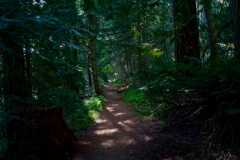Witchcraft Lake 10