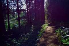 Witchcraft Lake 11