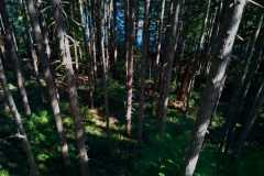 Witchcraft Lake 16