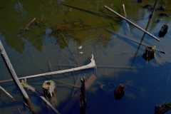 Witchcraft Lake 13